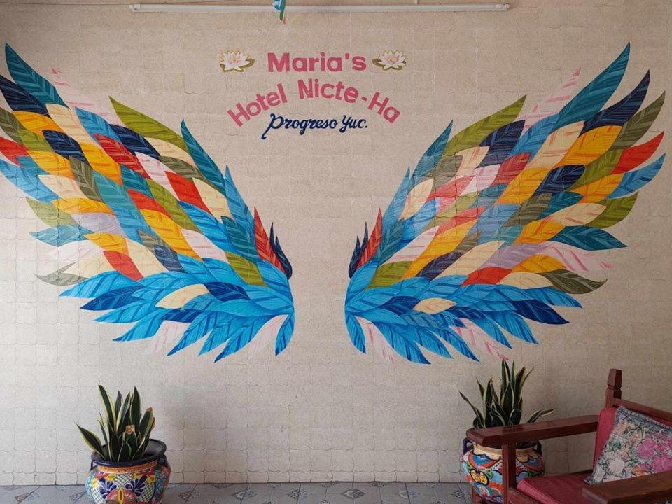 Hotel Maria'S Nicte Ha 普罗格雷索 外观 照片